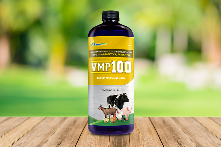 VMP100